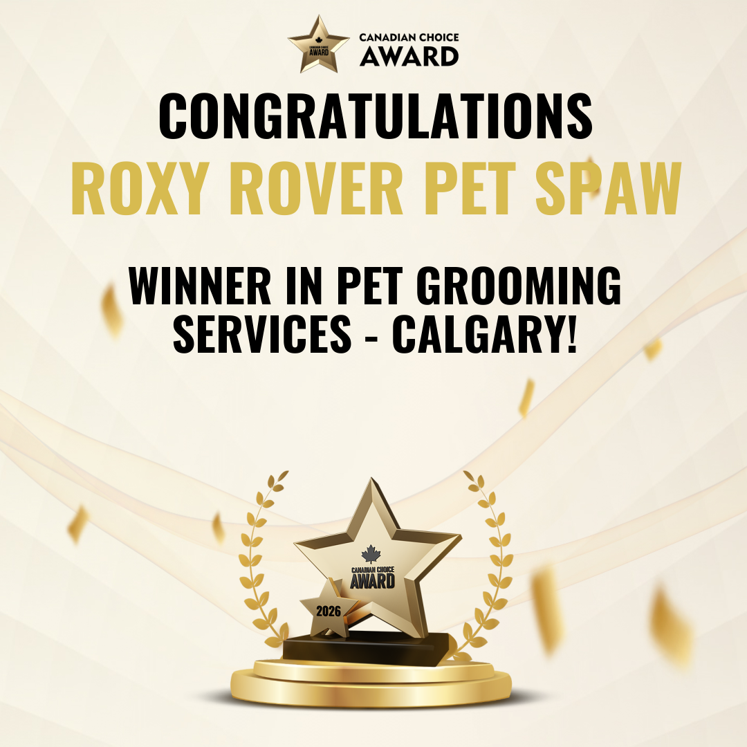 2026 Canadian Choice Award Winner